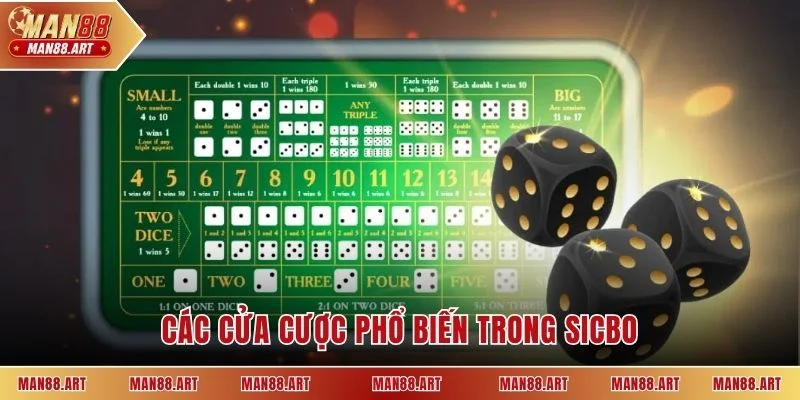 Các cửa cược phổ biến trong sicbo